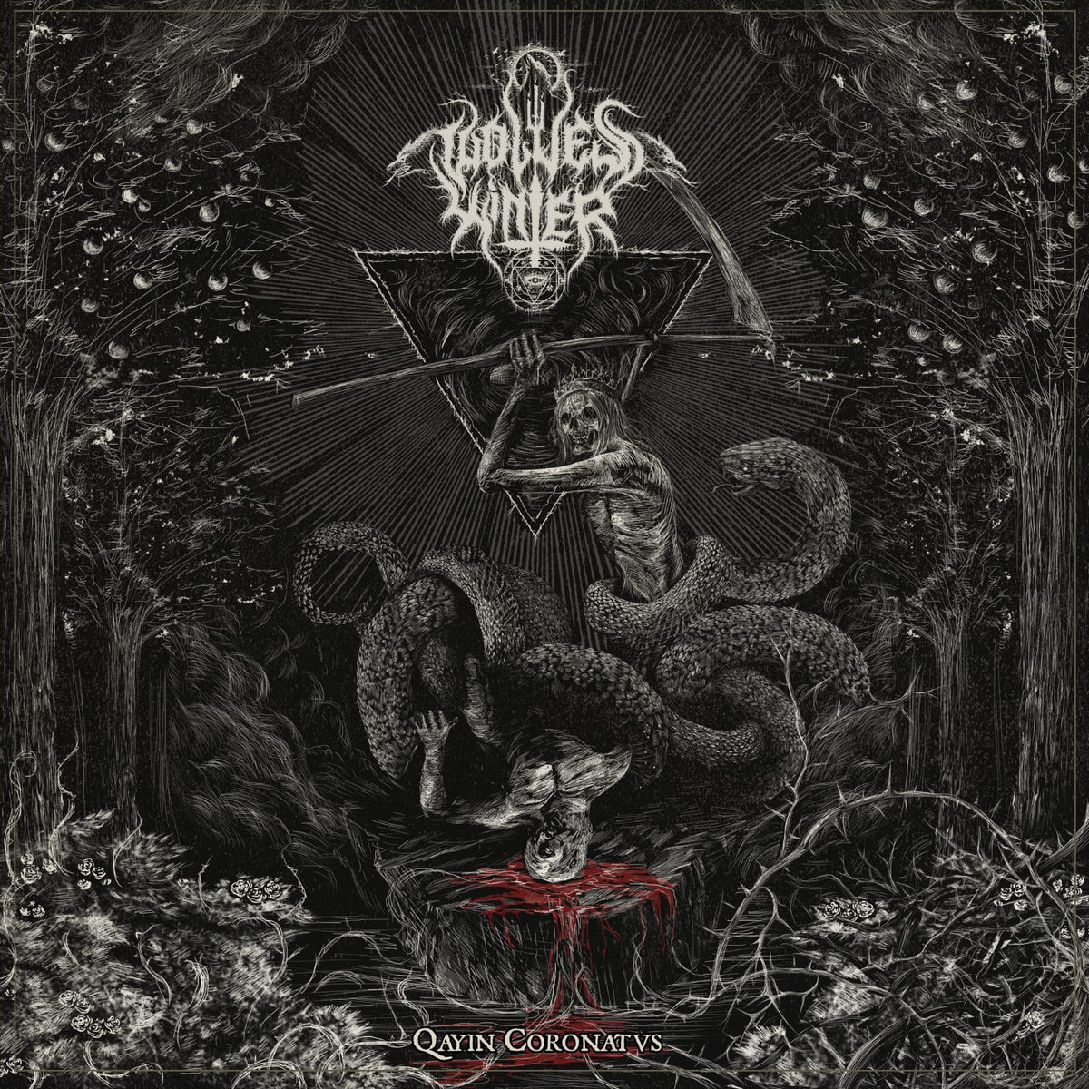 Black metal esotérico y de calidad. Wolve’s Winter – Qayin Coronatvs (2022) thumb image